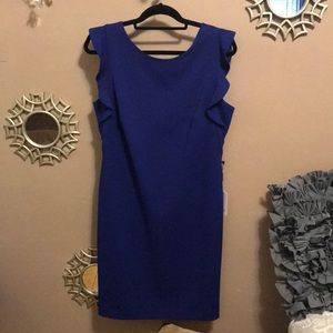 Calvin Klein Dress NWT 12